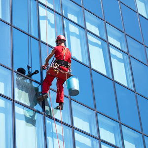 Person Cleaning High Windows